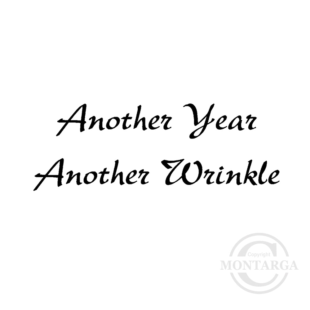0141 B - Another Year Another Wrinkle Wording Rubber Stamp
