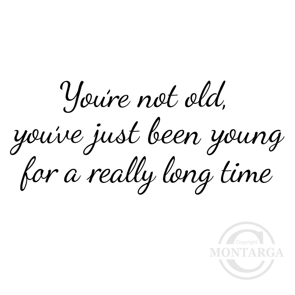 0217 FF - You're not old Wording Rubber Stamp
