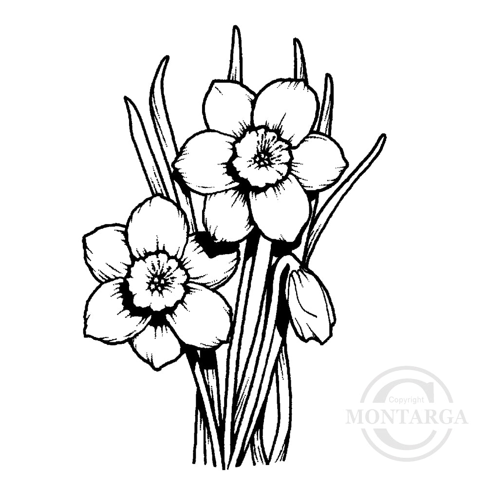 0619 E or G - Daffodils Rubber Stamp