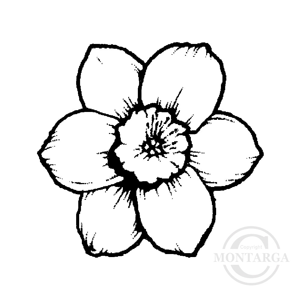 0692 A or C - Daffodil Head Rubber Stamp