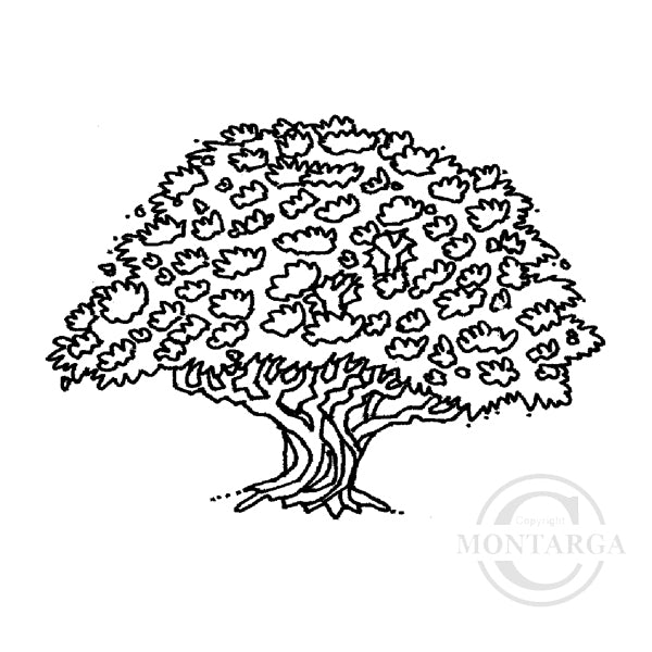0947 D - Pohutukawa Tree Rubber Stamp