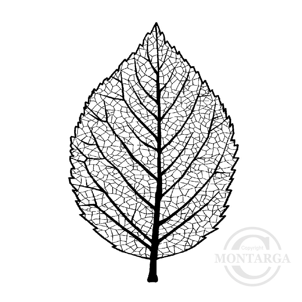 0968 F - Leaf Rubber Stamp