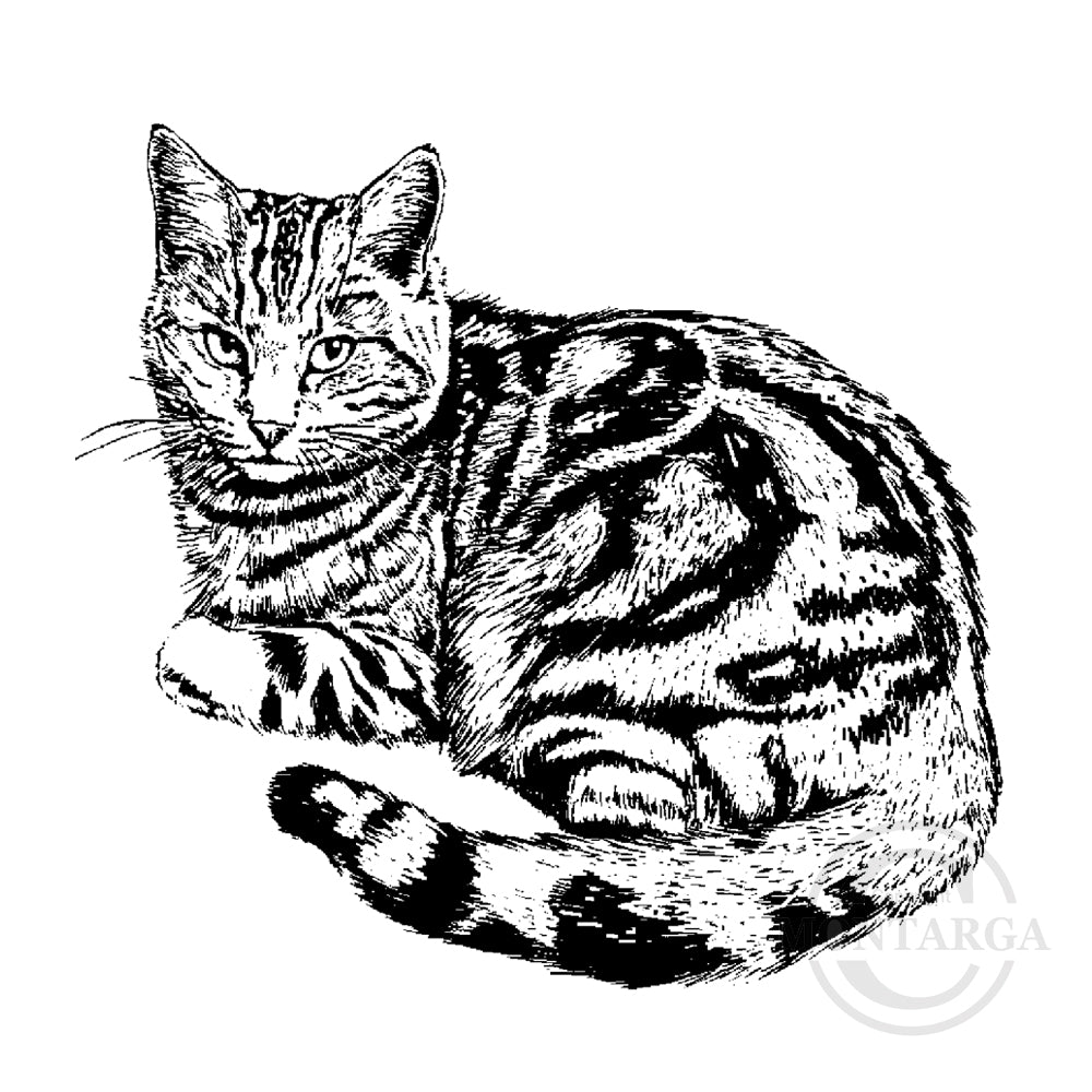 1011 F - Tabby Cat Rubber Stamp