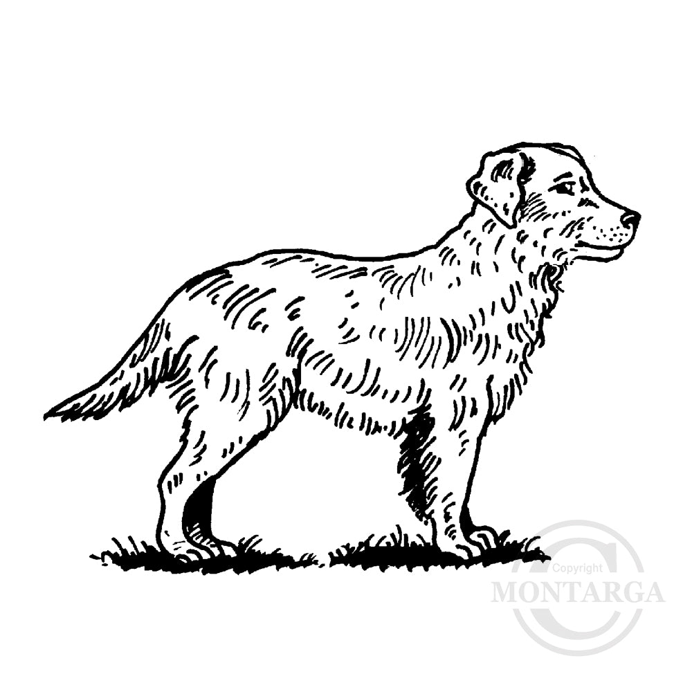 1151 F - Dog Rubber Stamp