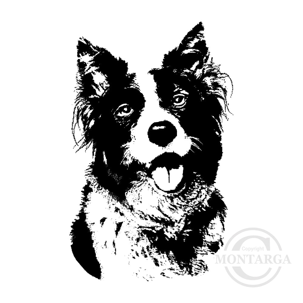 1157 E - Border Collie Rubber Stamp