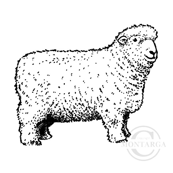 1261 C - Sheep Rubber Stamp