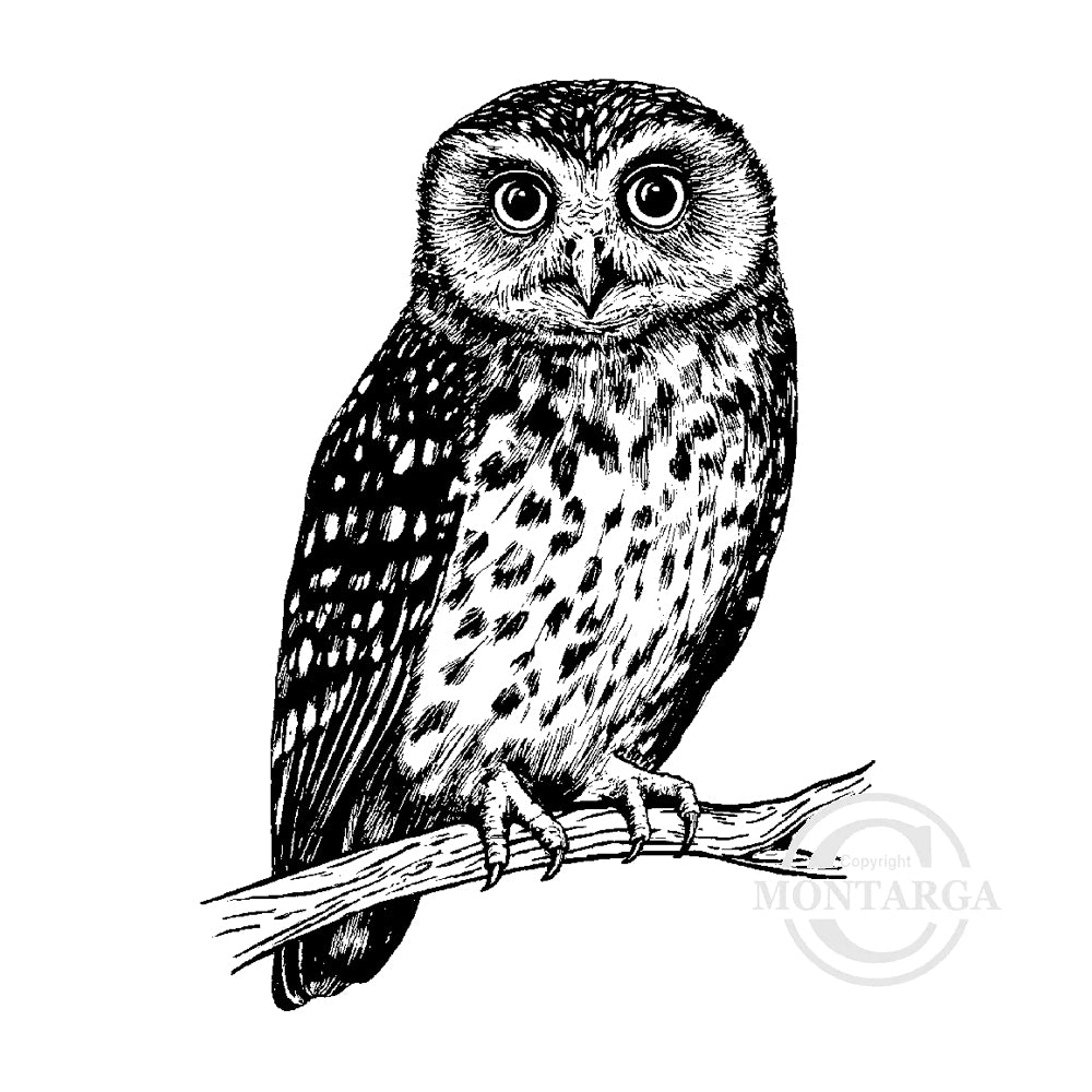 1310 G Ruru / Morepork Owl Rubber Stamp