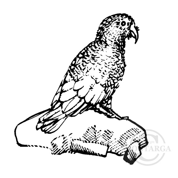 1316 C Kea Rubber Stamp