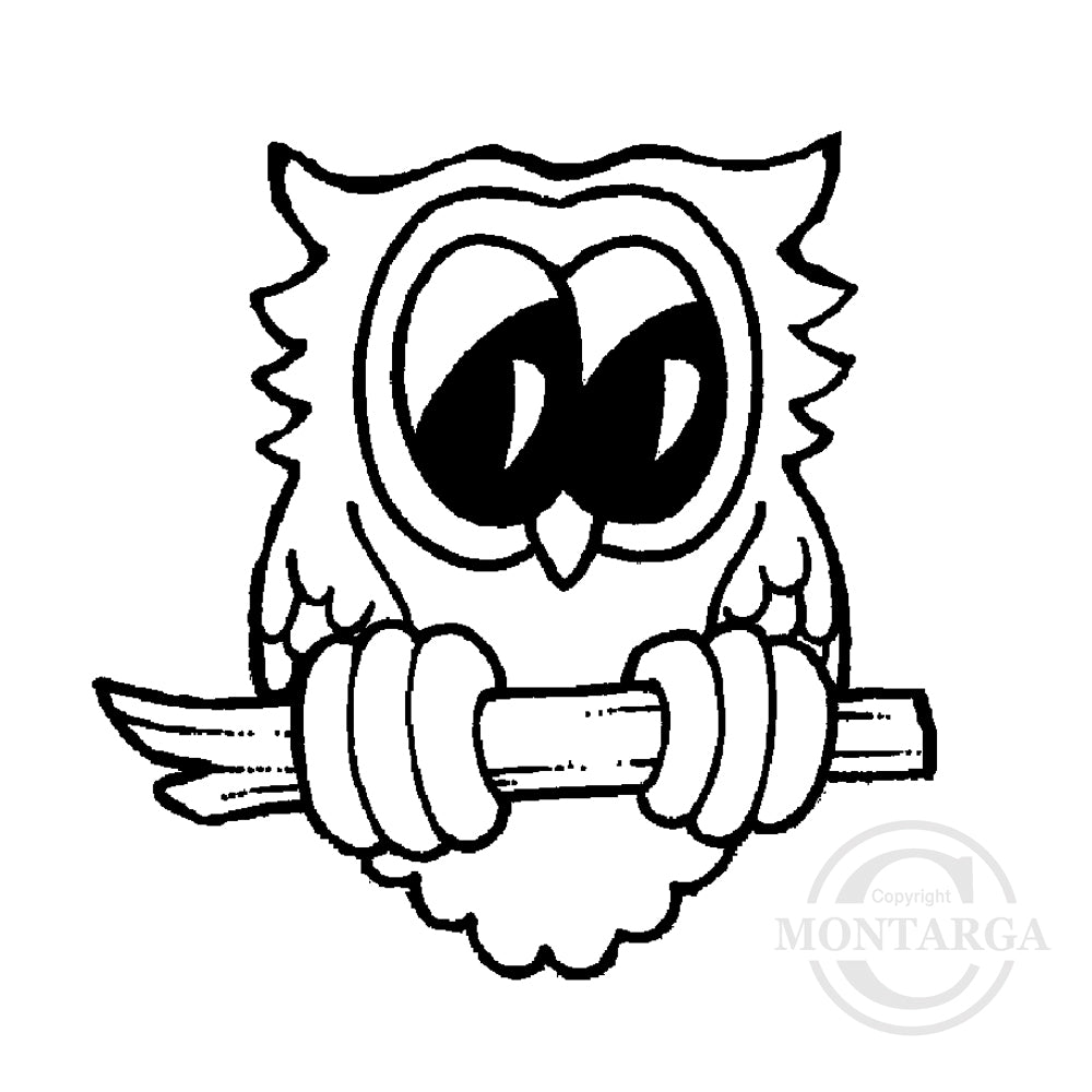 1342 C - Owl Rubber Stamp
