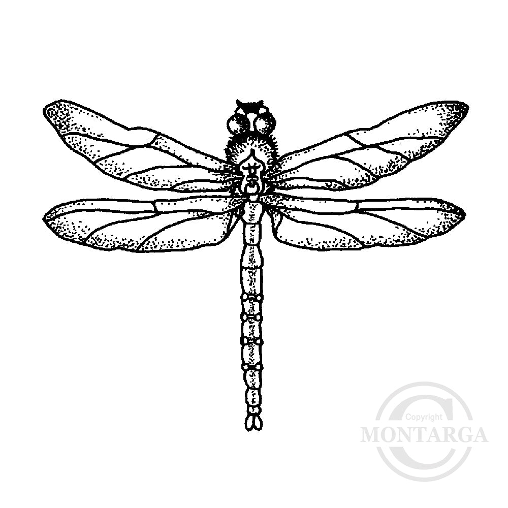 1366 F or C Dragonfly Rubber Stamp