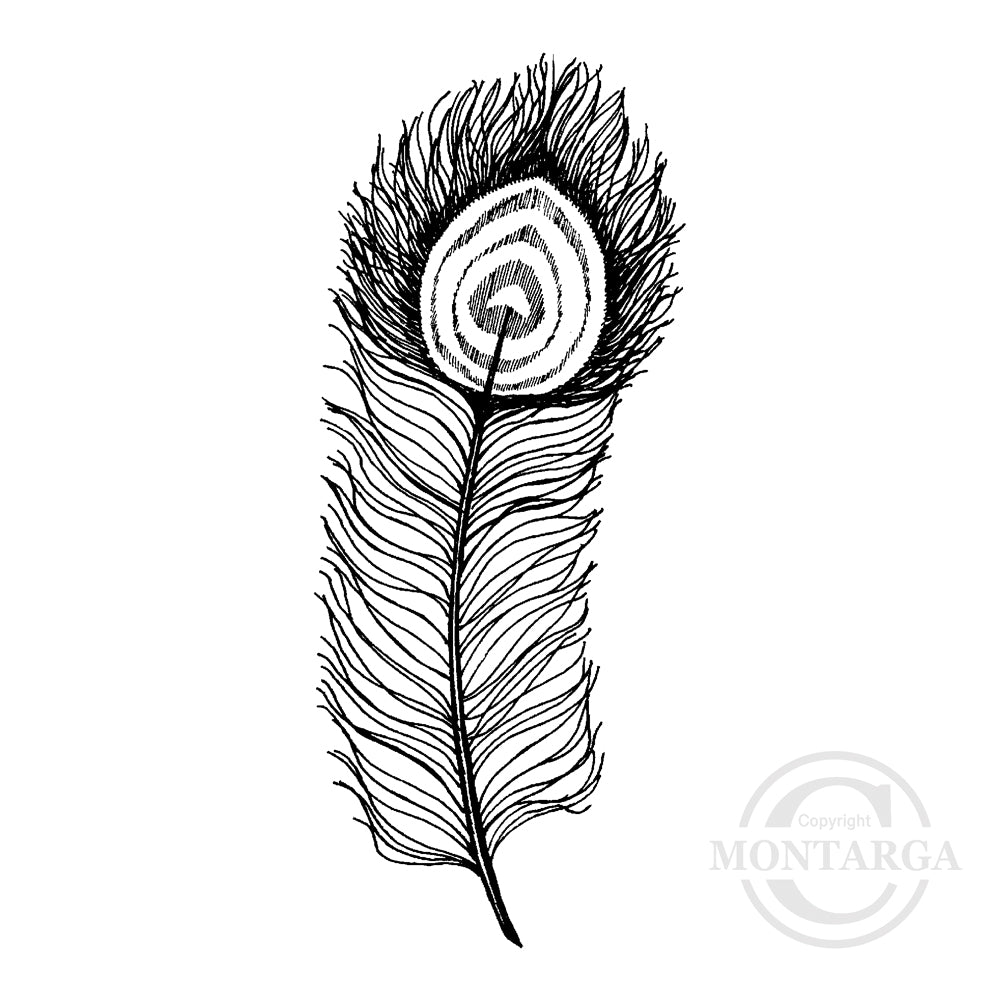 1371 FF - Peacock Feather Rubber Stamp