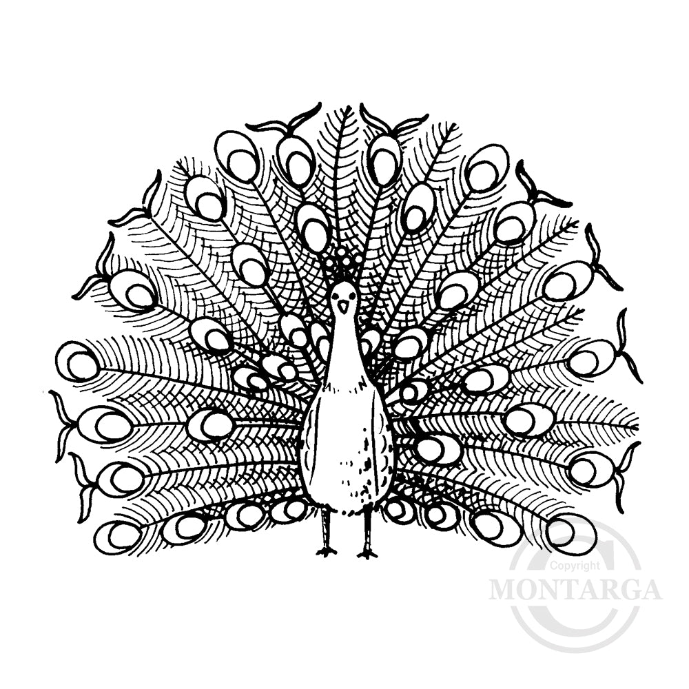 1375 F Peacock Rubber Stamp