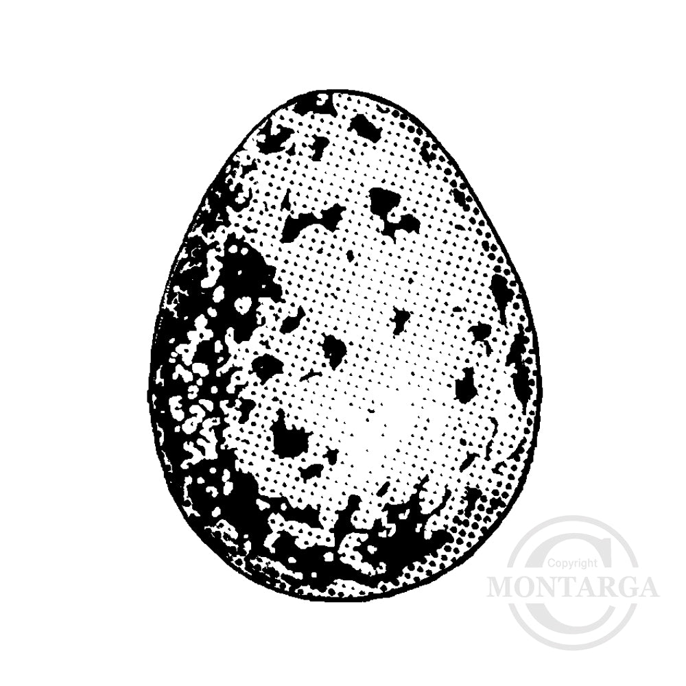 1394 C - Egg Rubber Stamp
