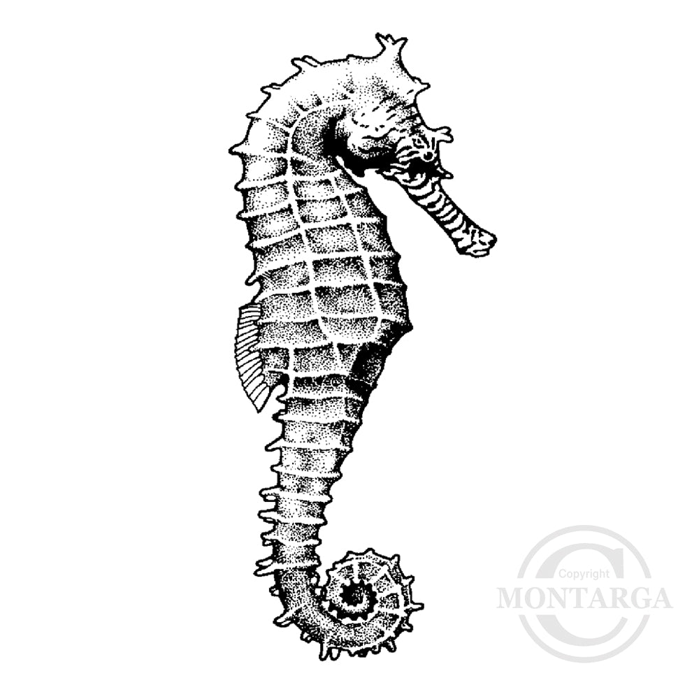 1415 FF - Seahorse Rubber Stamp