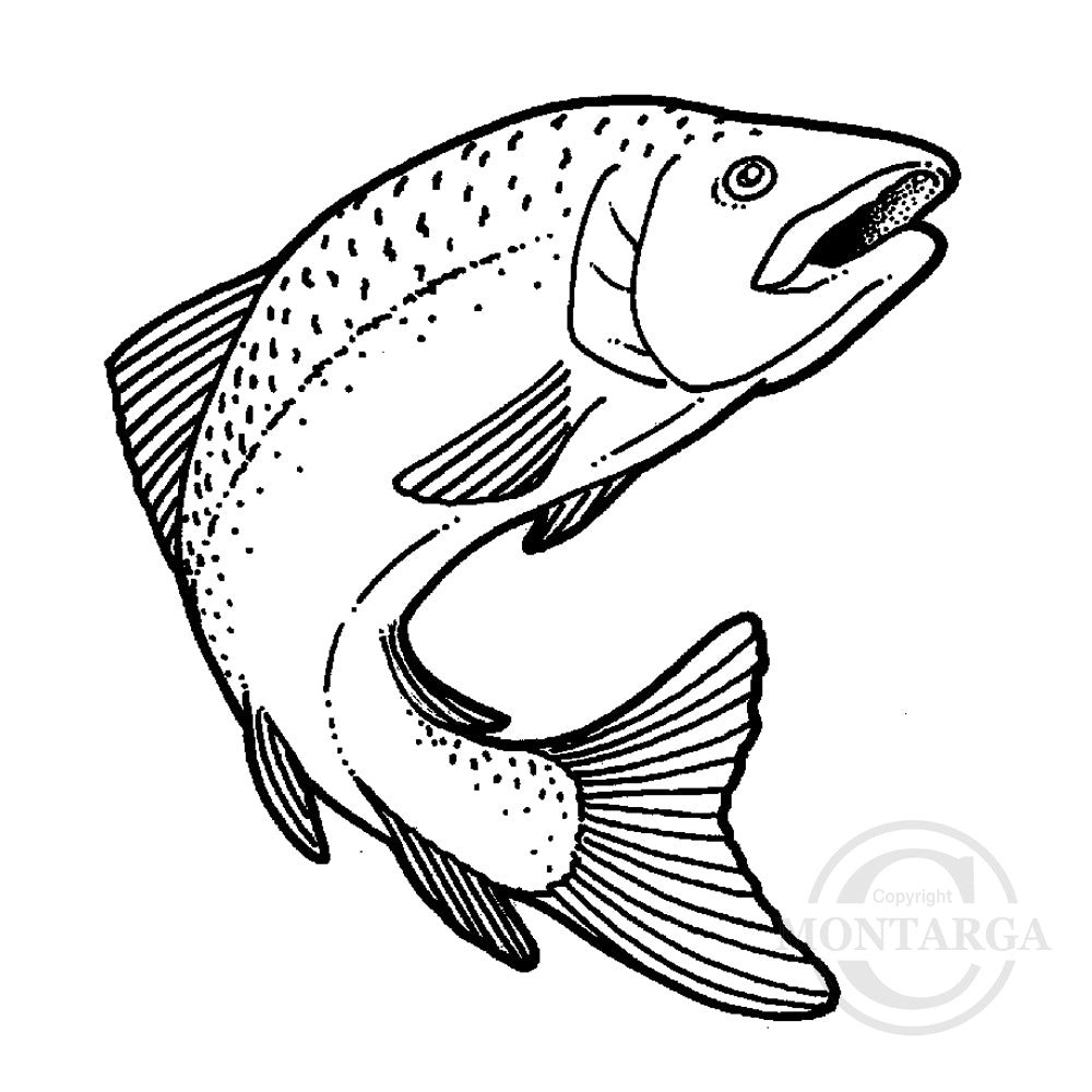 1421 F - Leaping Trout Rubber Stamp