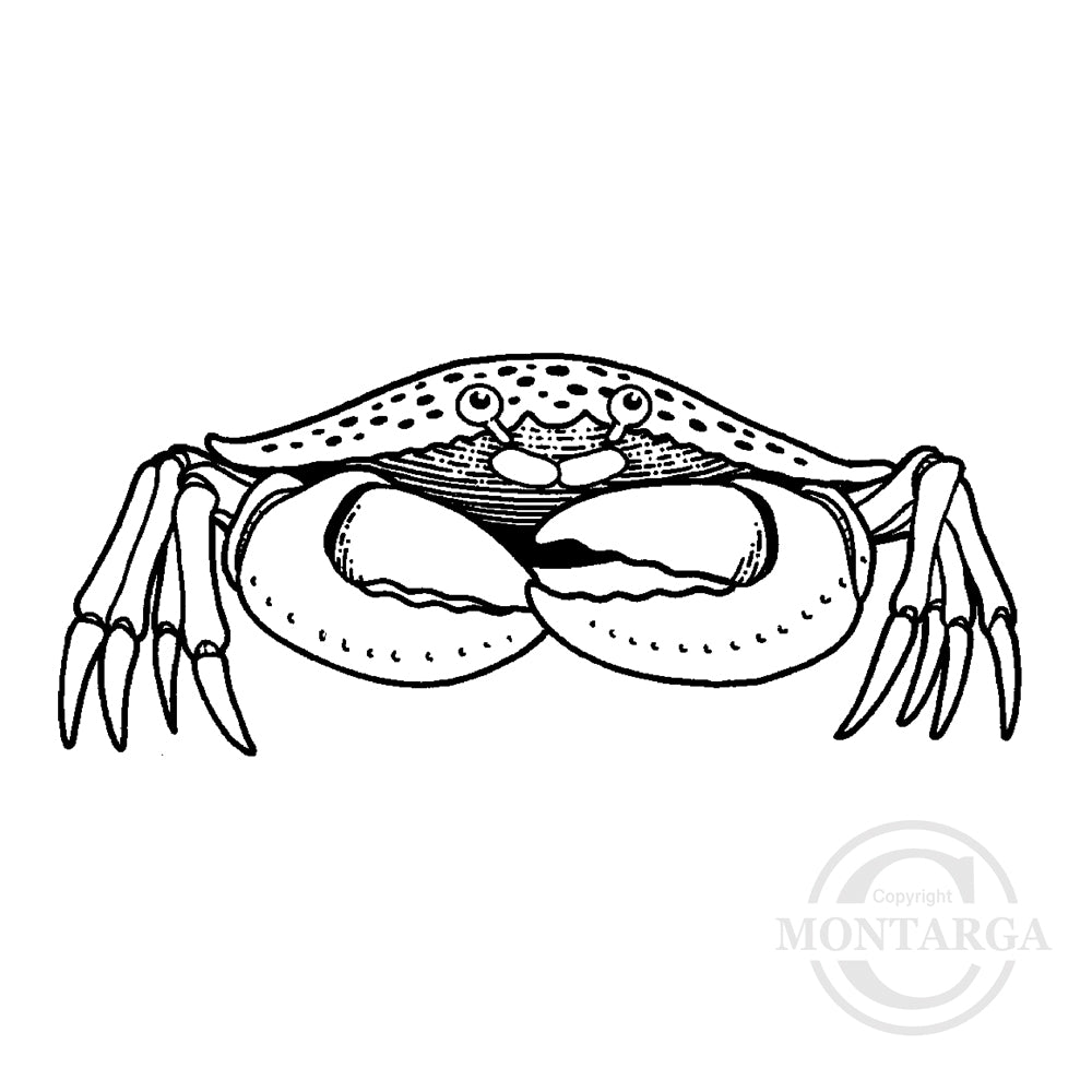 1424 B - Crab Rubber Stamp