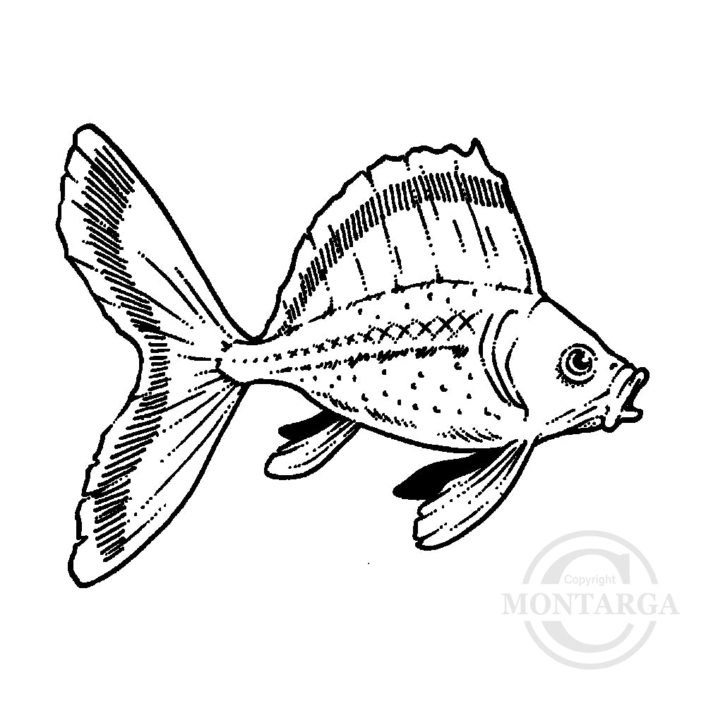 1442 C - Goldfish Rubber Stamp