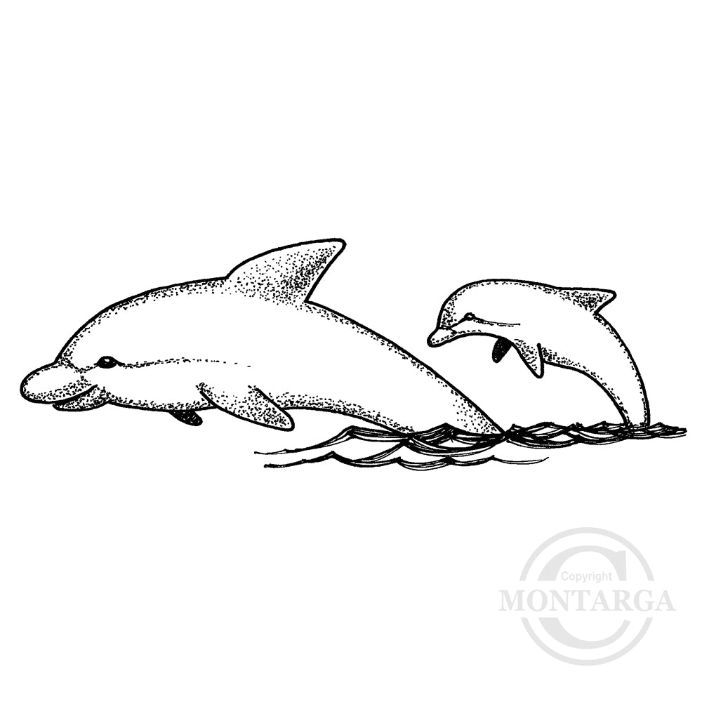 1453 FF - Dolphins Rubber Stamp