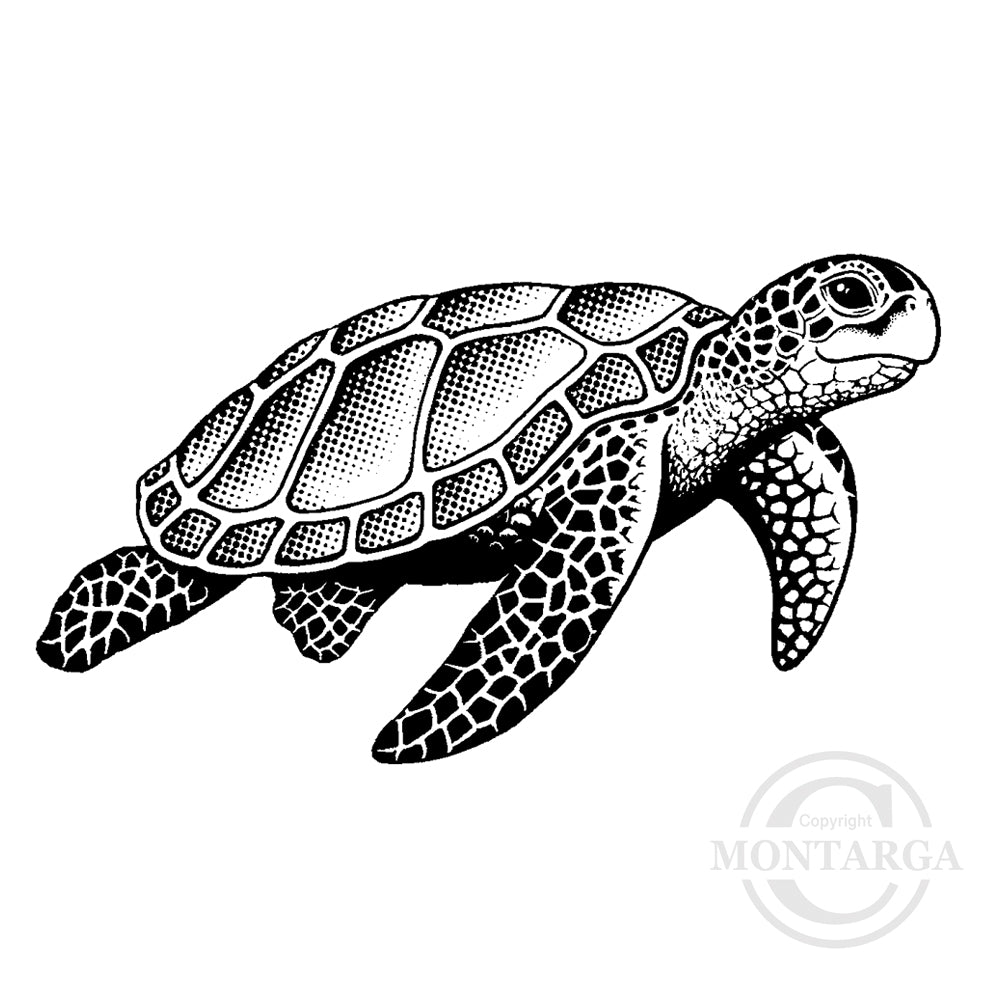 1496 E - Sea Turtle Rubber Stamp