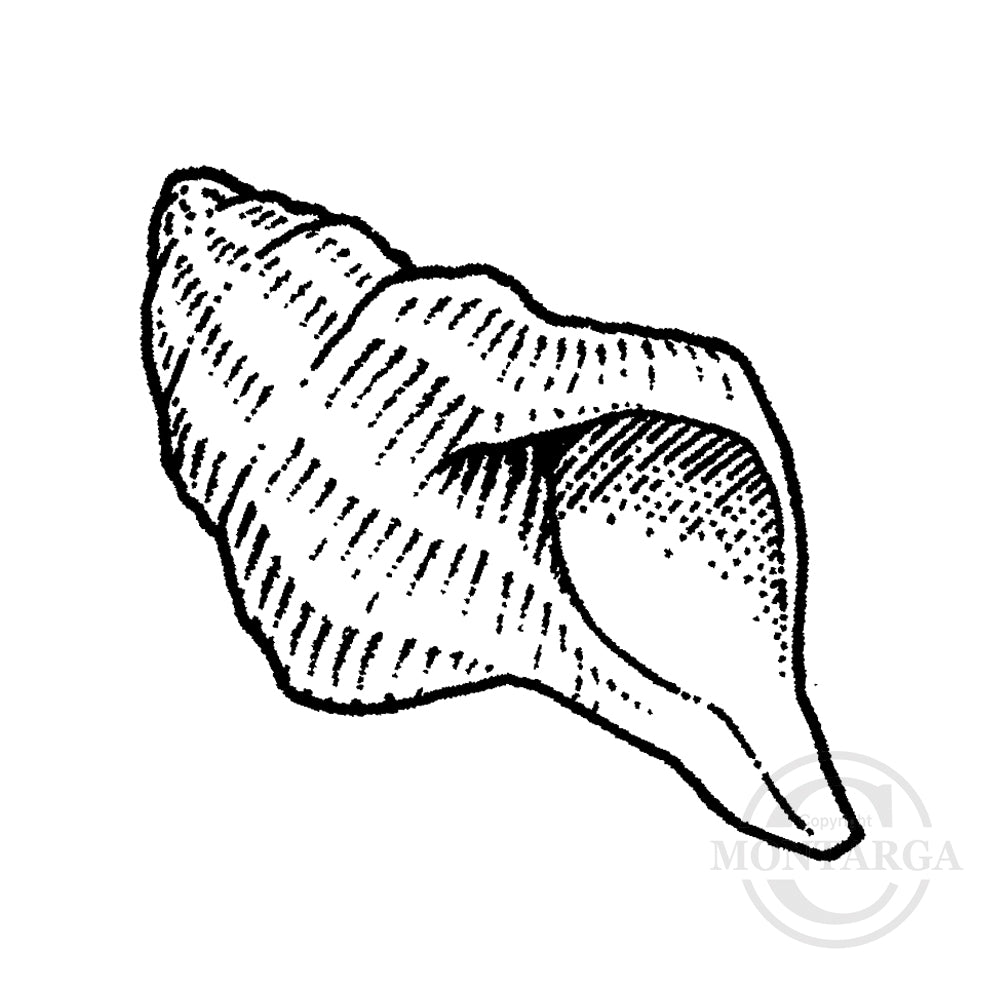 1836 A or C - Shell Rubber Stamp