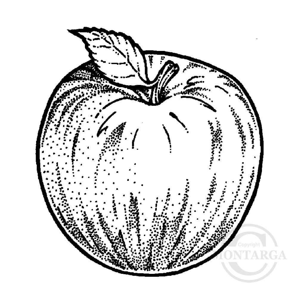 1854 A or C - Apple Rubber Stamp