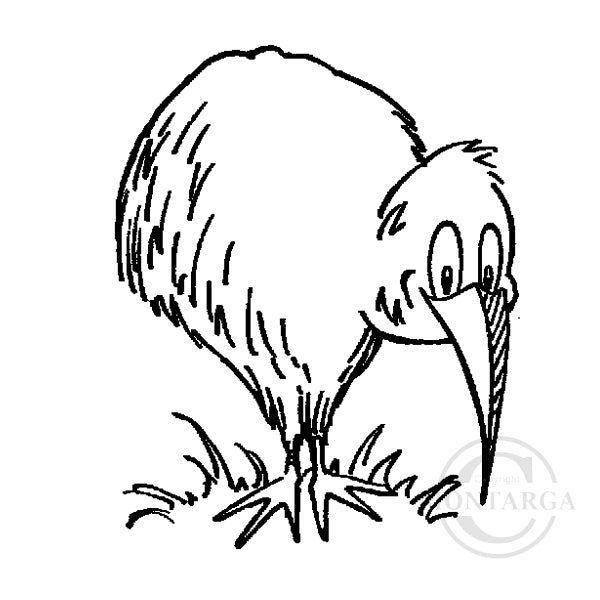 1902 A - Kiwi Rubber Stamp