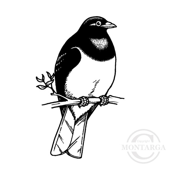 1926 B - Wood Pigeon Kererū Rubber Stamp
