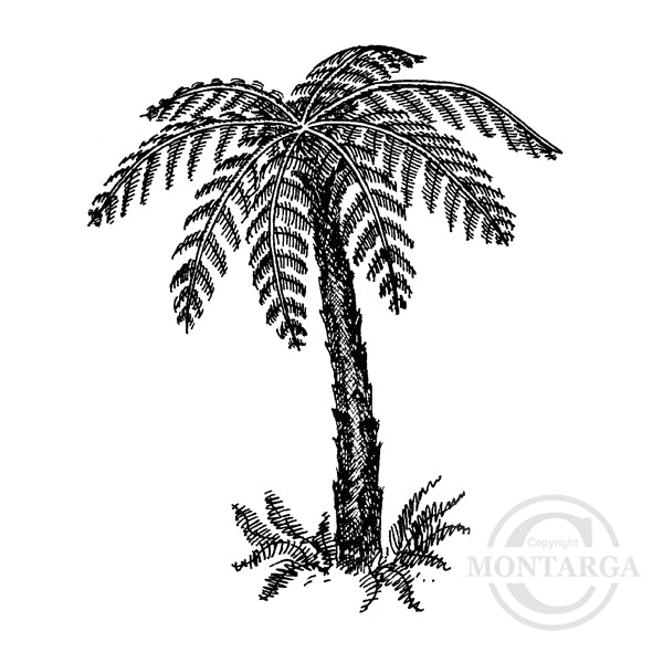 1963 G - Ponga Fern Tree Rubber Stamp