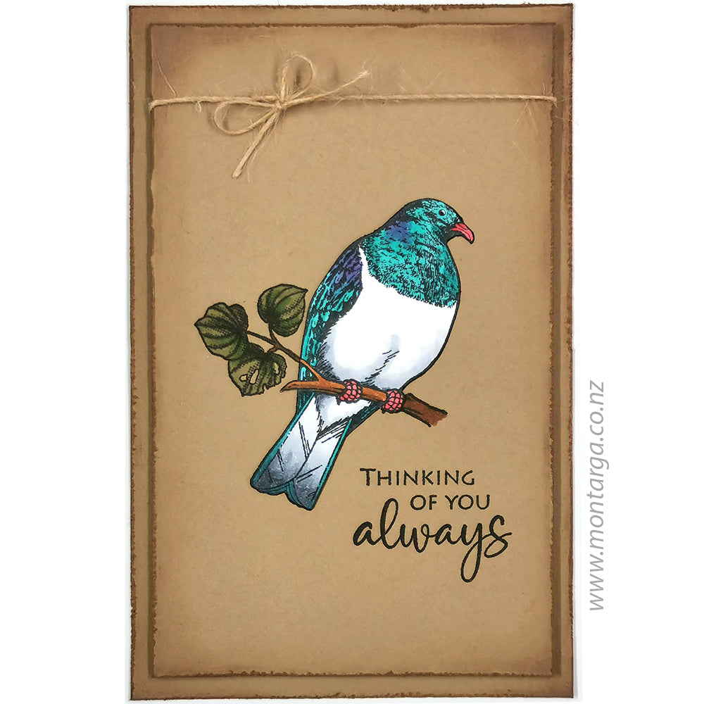 Card Sample - Kererū on brown card