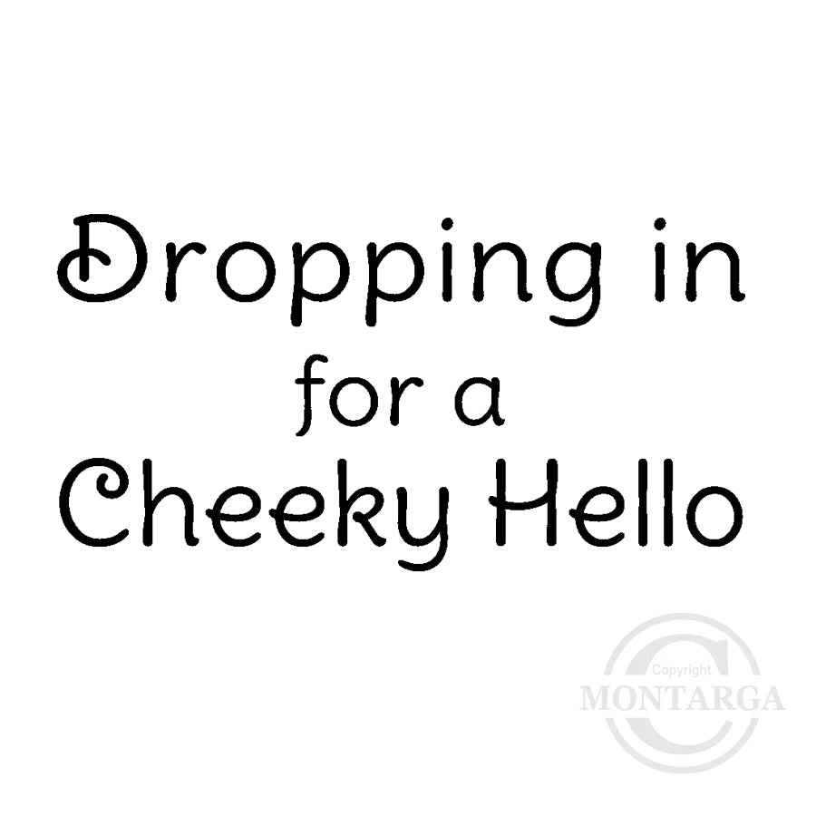 2553 B - Dropping in for a Cheeky Hello Wording Rubber Stamp
