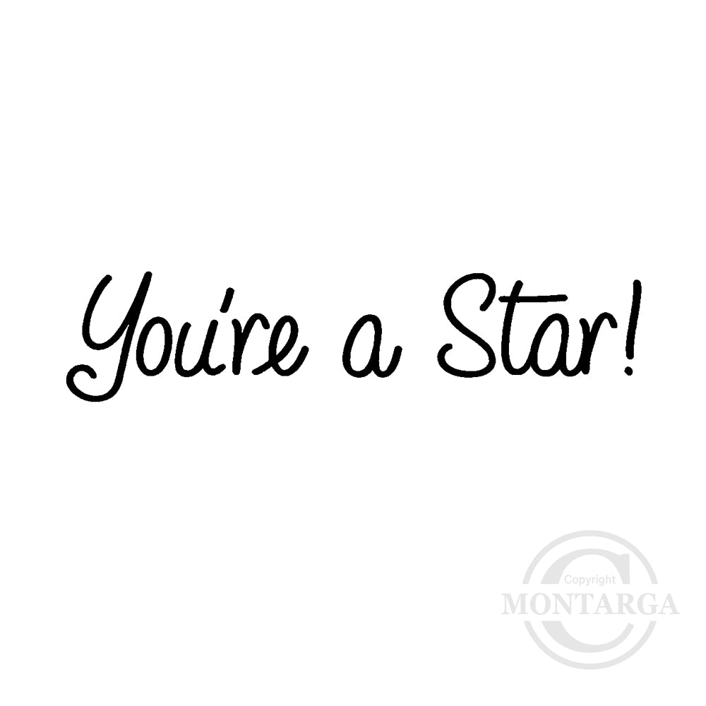 2849 B - You're a Star Wording Rubber Stamp