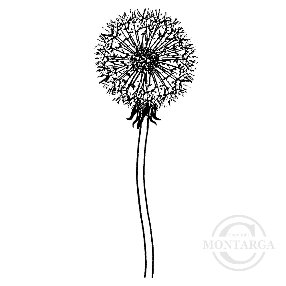 3257 FFF - Dandelion Rubber Stamp
