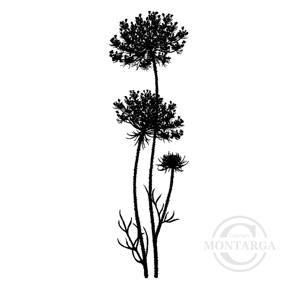 3290 FF or FFF - Wild Flowers Rubber Stamp