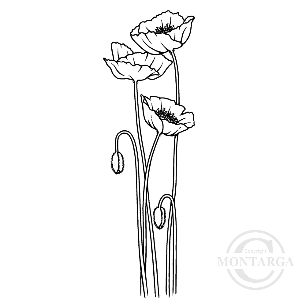 3450 FFF - Poppies Rubber Stamp
