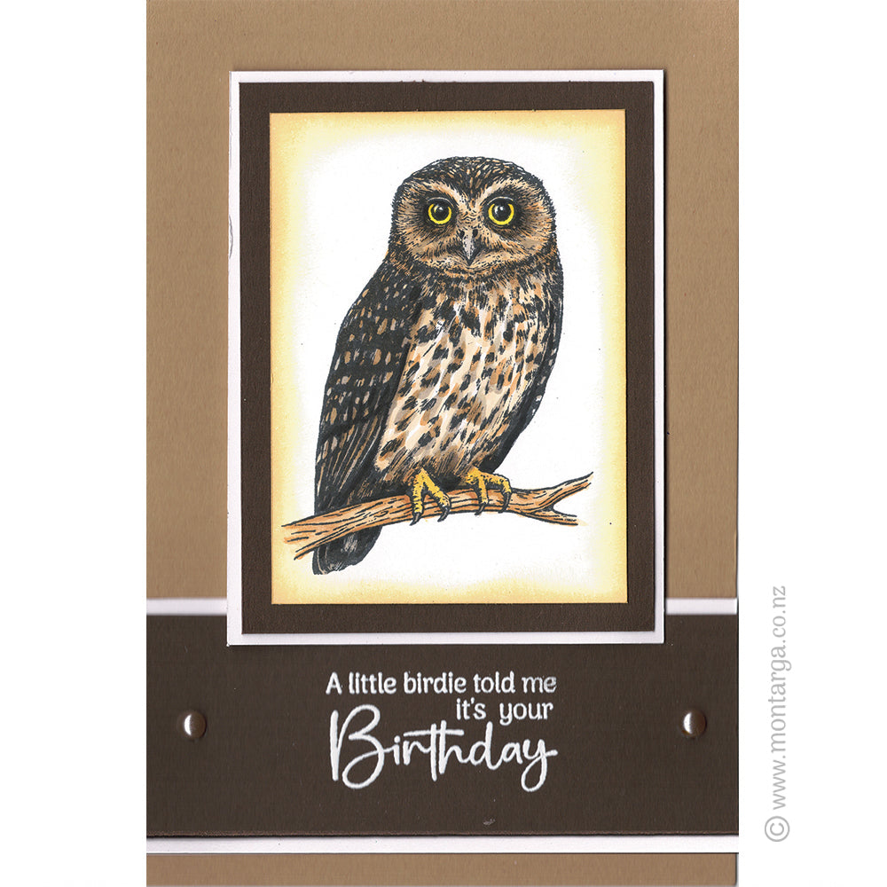 Card Sample - Ruru / Morepork Owl - Brown