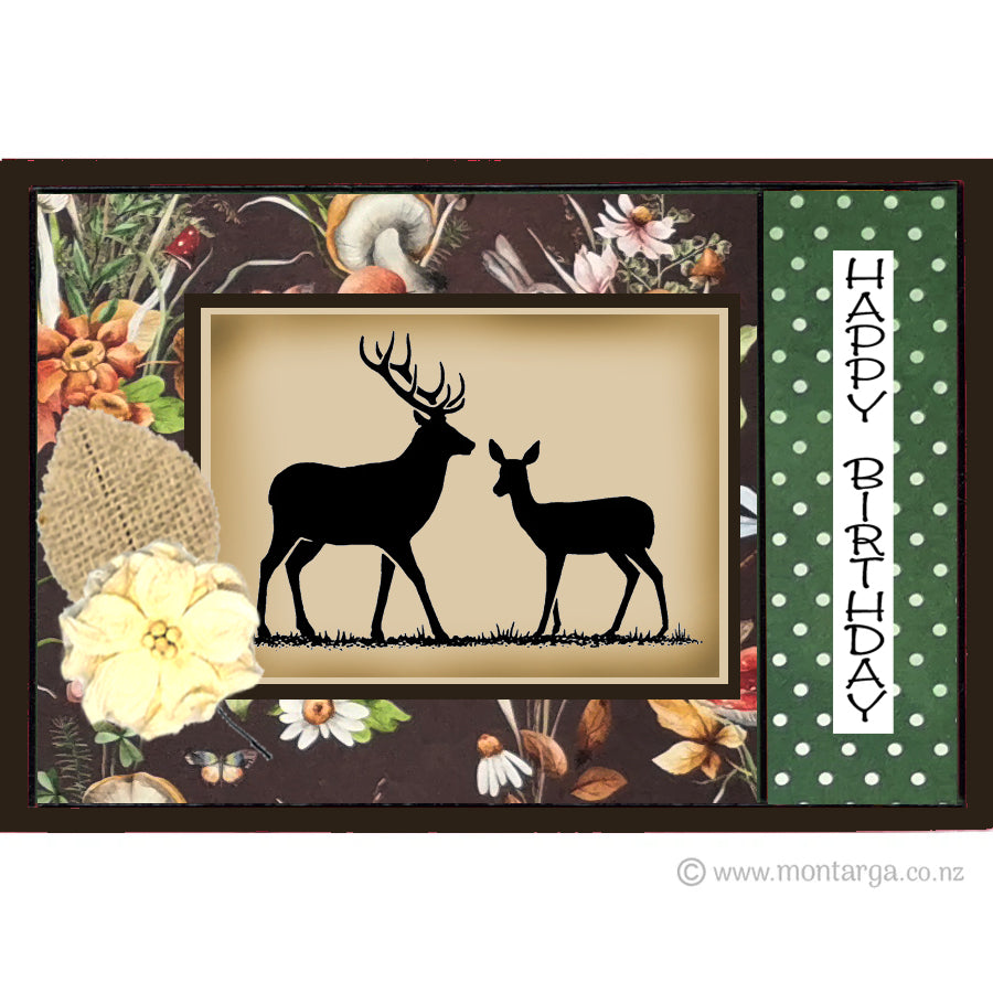 Creative Card Pack - Forest Backgrounds