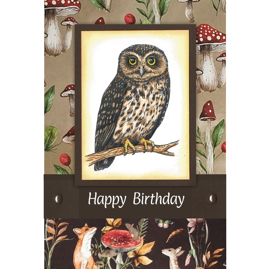 Creative Card Pack - Forest Backgrounds