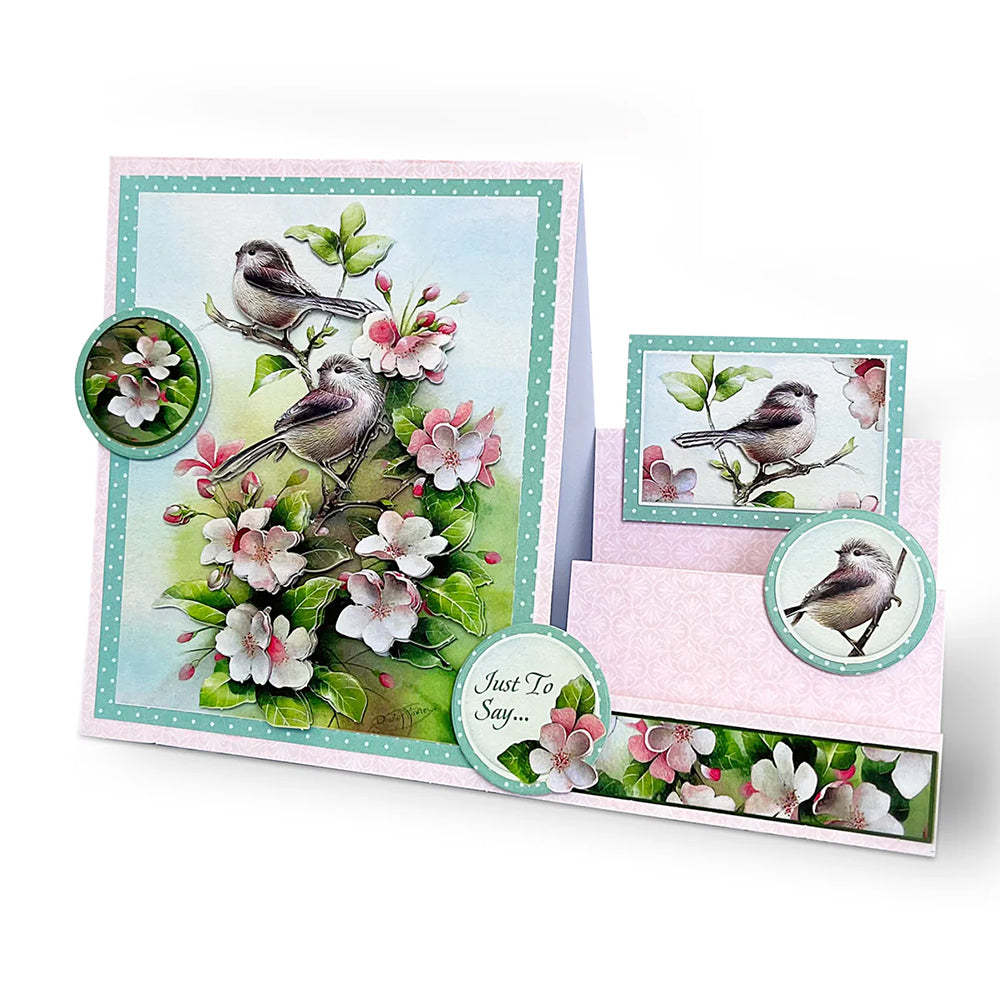 Katy Sue - Blank Stepper Cards With Envelopes