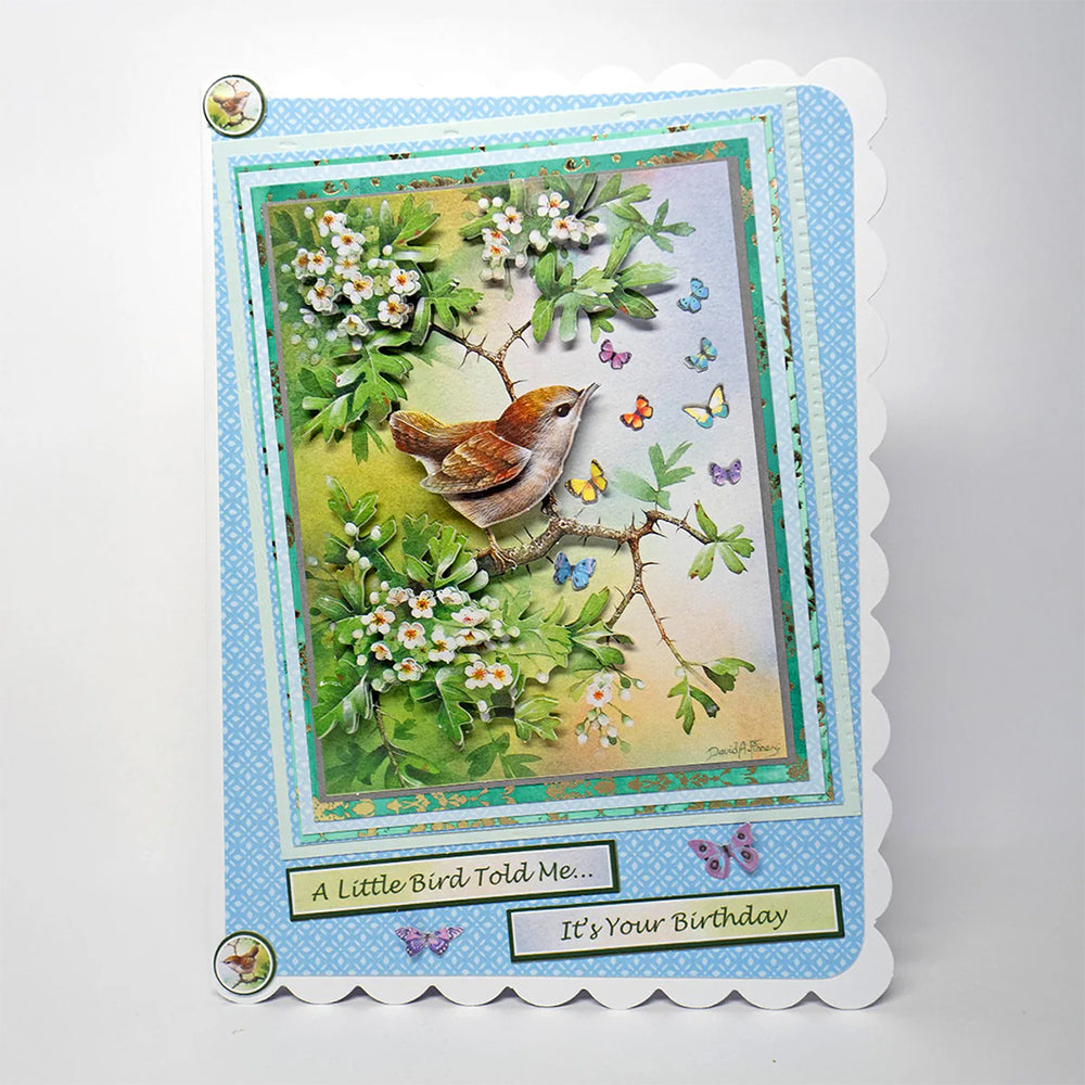 3D Push Out Sheet - Katy Sue - Wren in Mayblossom - One Sheet