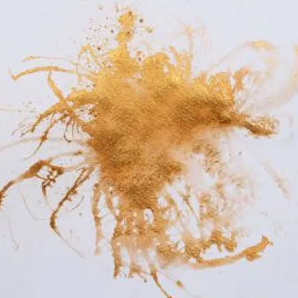 Pixie Powder - Rich Gold
