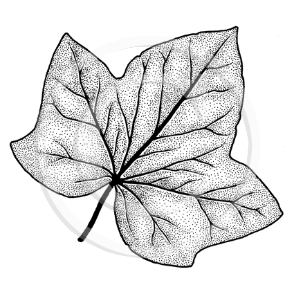 0944 C or F - Leaf Rubber Stamp