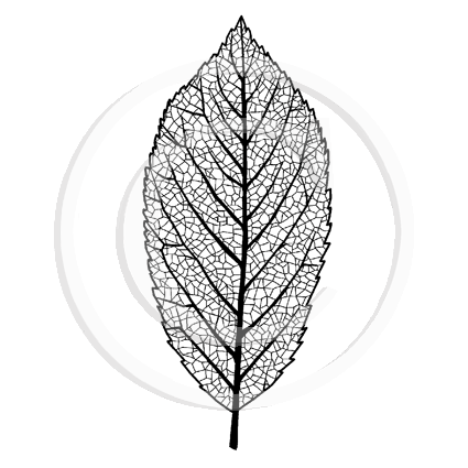 0963 E - Leaf Rubber Stamp