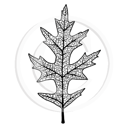0964 E - Leaf Rubber Stamp