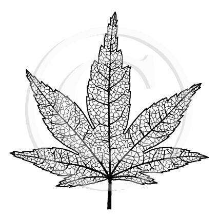 0971 G - Leaf Rubber Stamp