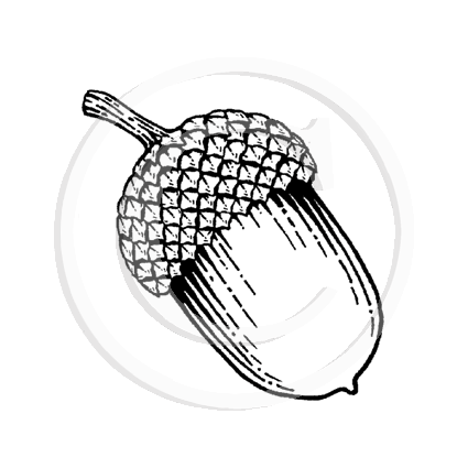 0974 A or C - Acorn Rubber Stamp