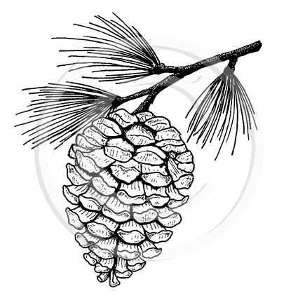 0977 C - Pinecone Rubber Stamp