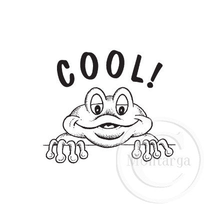 2088 A - Cool Teacher Rubber Stamp