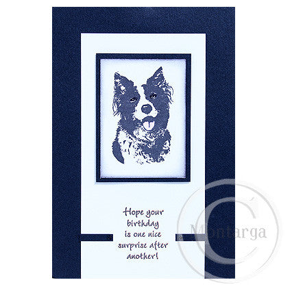 0195 C - Birthday Surprise Wording Rubber Stamp