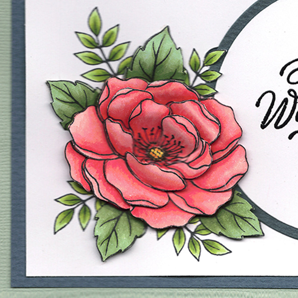 Card Sample - Rose - Have a Wonderful Day