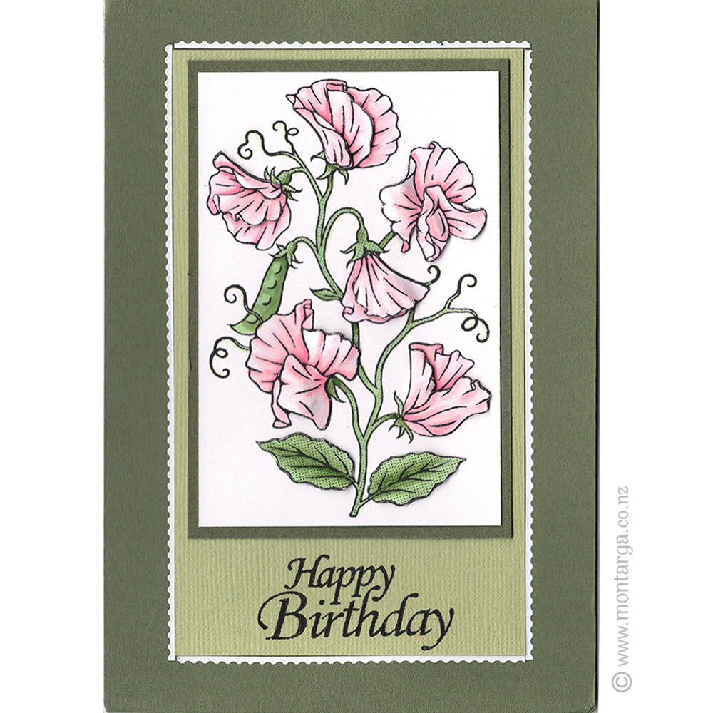 Greeting Cards 10pk - Mid Green